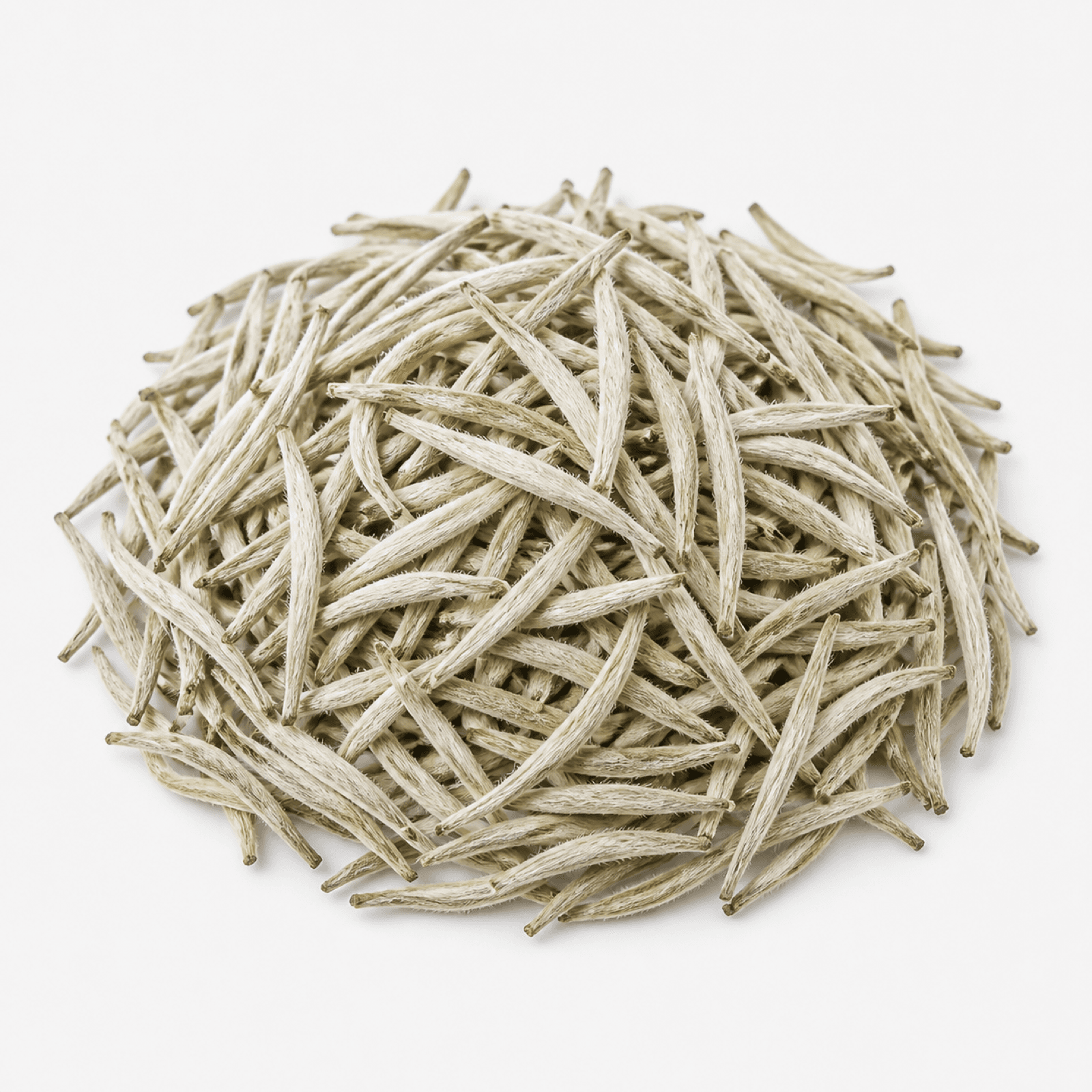 Silver Needle White Tea
