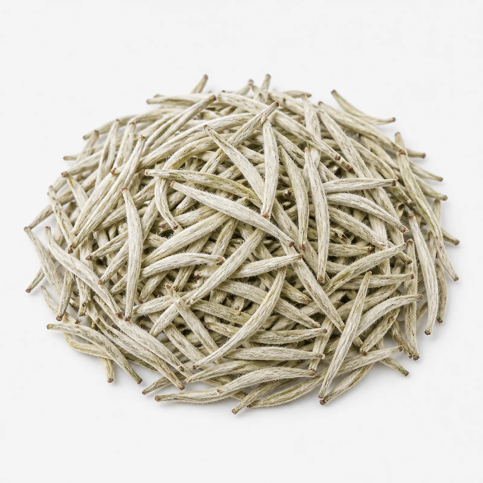 Silver Needle White Tea