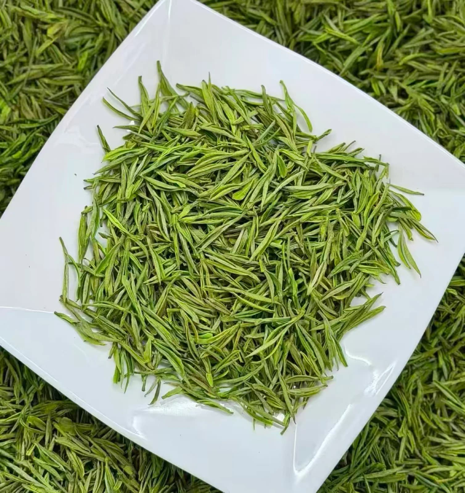 Anji Bai Cha