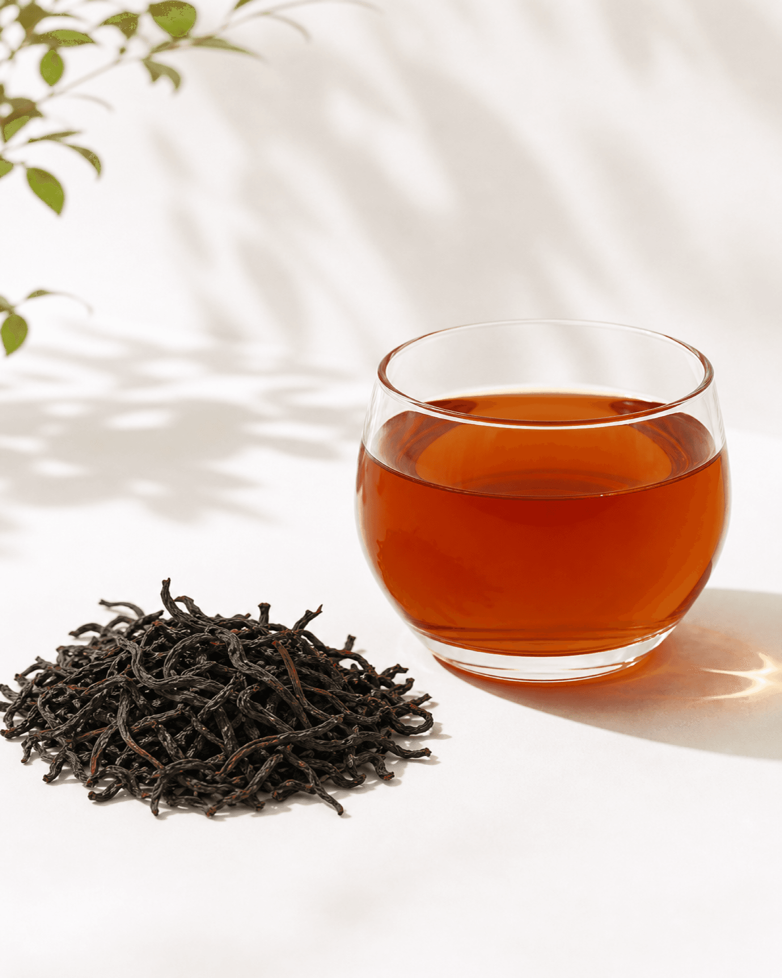 Oolong Tea tea path